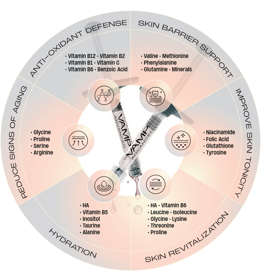 VAMP Advanced ingredient wheel — anti-oxidant defense, skin barrier support, hydration, skin revitalization, and reduce signs of aging